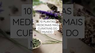 10 PLANTAS MEDICINAIS MAIS CURATIVAS DO MUNDO