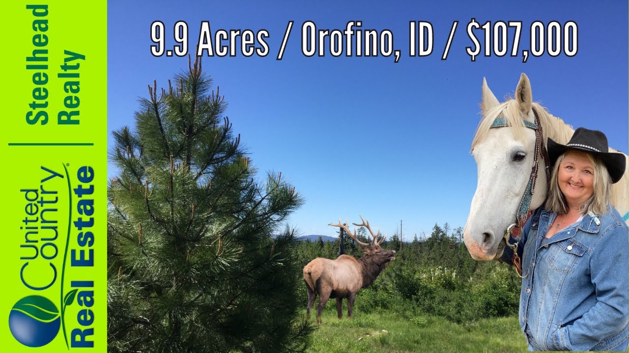 10 Ares for sale Orofino, Idaho Wildwood Estates SOLD! YouTube