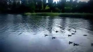 Mikroklimat Błekitny czas