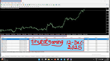 How to Earn Daily Passive Income Using a Forex Robot in 2025