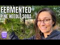 Fermented pine needle soda  natural sprite  fermented february collaboration