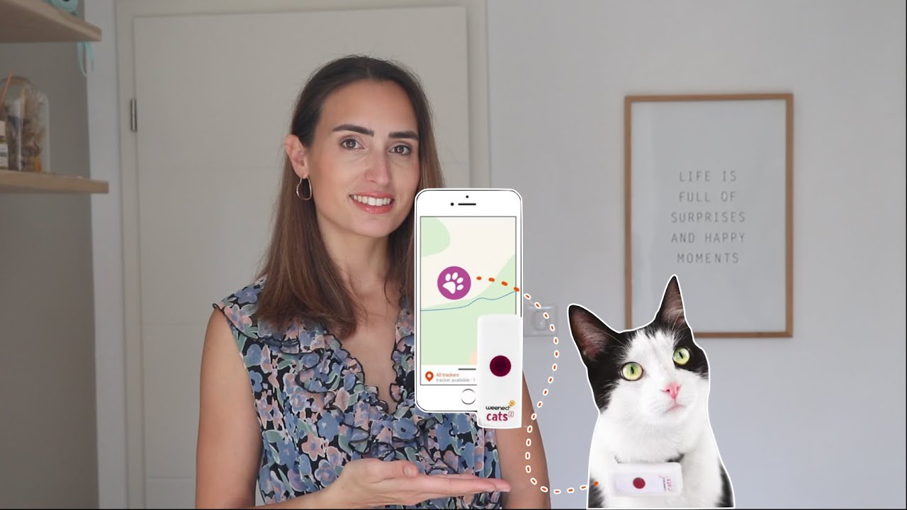 Feelloo : un tracker GPS sans abonnement pour ne pas perdre votre chat