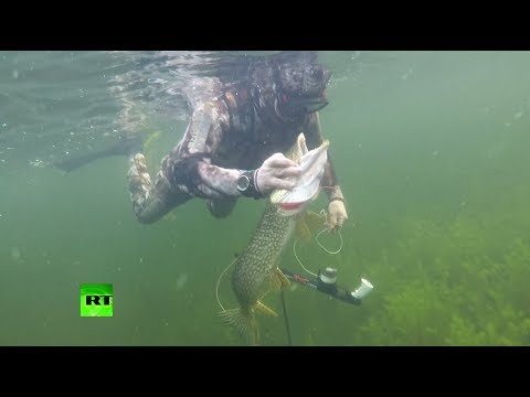 Первые кадры подводной охоты Владимира Путина на щуку в Туве