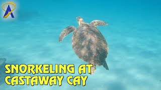 Snorkeling at Disney's Private Island in the Bahamas - Castaway Cay
