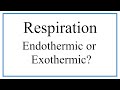 Cellular Respiration and Photosynthesis Concepts