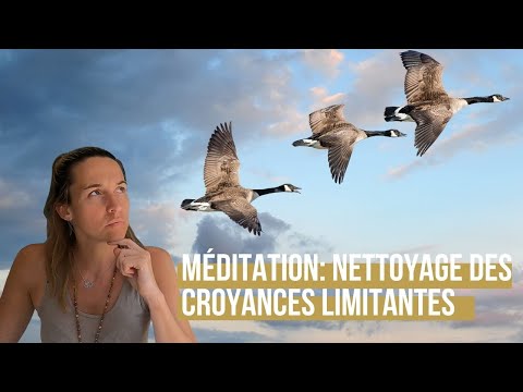 Méditation: Nettoyage des