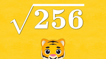 Square Root 256