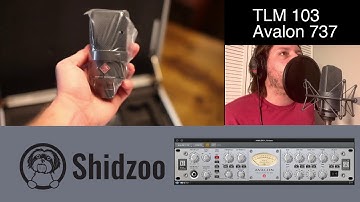 TLM 103 2021 review unboxing footage with Avalon 737 Audio - 2 months in