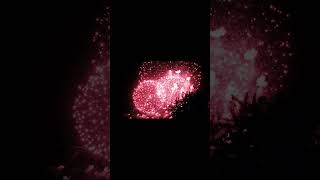 NO RULES TONIGHT 🔥 | Hindi DJ Remix 2026 | Party Anthem | Bass Boosted EDM  #djremix #djviral #hindi