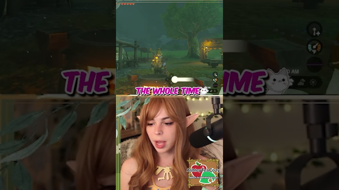 Why'd I have to do it to him that bad... #zelda #totk #clip #highlight #tearsofthekingdom #kass