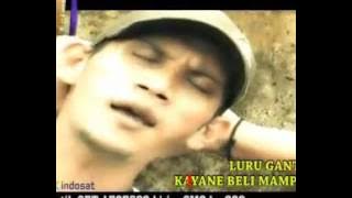 ENTOK JAMPINE calus sadewo @ lagu tarling JANGKAR PRODUCTION