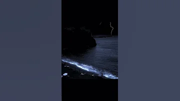 Cardigan Taylor Swift Slowed Instrumental 