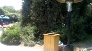 Shannon Twins Fun In The Sun