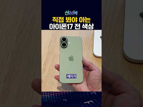 실물 봐야 결정할 수 있는 아이폰17