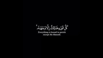 كرومة شاشه سوداء بصوت الشيخ ياسر الدوسري من سورة القصص .