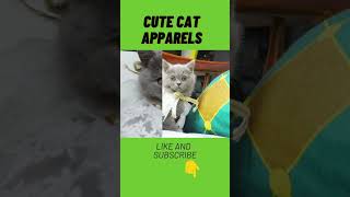 Cute cats clothes #shorts #youtubeshorts #amazon