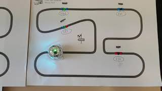Year 2 Ozobot Learning Patterns