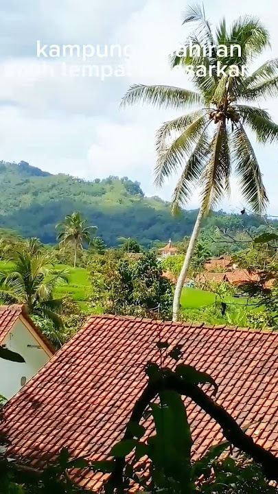 Kampung tanah kelahiran#kampung#nature
