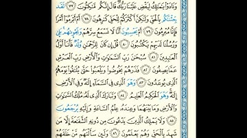 القرآن الكريم صفحة رقم 495 برواية الدوري عن الكسائي  القارئ مفتاح السلطني