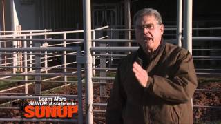 Cow-Calf Corner: Weaning Fall Born Calves (4/02/16)