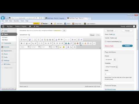 How to use text editor in WordPress