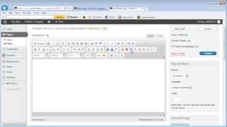 How to use text editor in WordPress