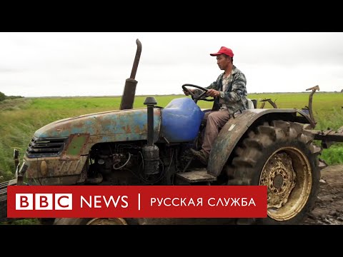 Video: Nejčtenější Noviny V Rusku
