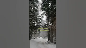 سلام عليكم بما صبرتم فنعم عقبى الدار ماهر المعيقلى 