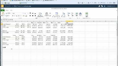 Office Web Apps on SharePoint 2010 - Excel