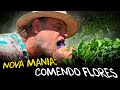 REVOLUCIONANDO A AGRICULTURA: FLORES COMESTÍVEIS E AQUAPONIA!