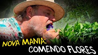 REVOLUCIONANDO A AGRICULTURA: FLORES COMESTÍVEIS E AQUAPONIA!