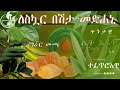 ጥንታዊ የስኳር በሽታ መድሀኒት Ancient Herbal Remedy For Diabetes ጥንታዊ የስኳር በሽታ መድሀኒት Ancient Herbal Remedy For Diabetes
