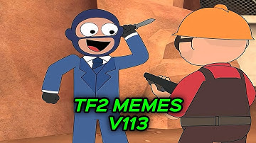 TF2 MEMES V113