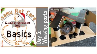 Day 5: 12 days of Enrichment:  Weaving Posts by Isamu Rat Care 703 views 3 years ago 2 minutes, 12 seconds