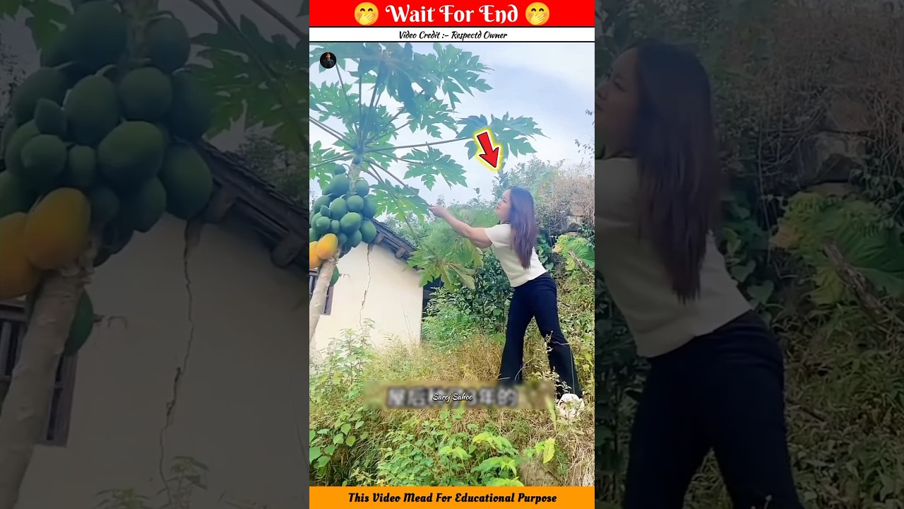 ଏ କଣ 🤪  ~miniwoodworking art skill / wood / handcrafts /