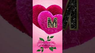 Danish Song Patel 2023