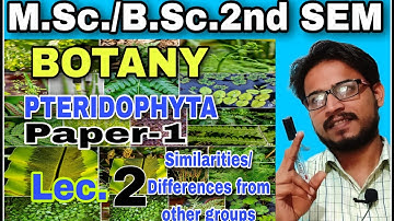 Lec.2 MSc/BSc.2nd SEM/PTERIDOPHYTA,similarities &differences b/w bryophytes &gymnosperms ashoksir