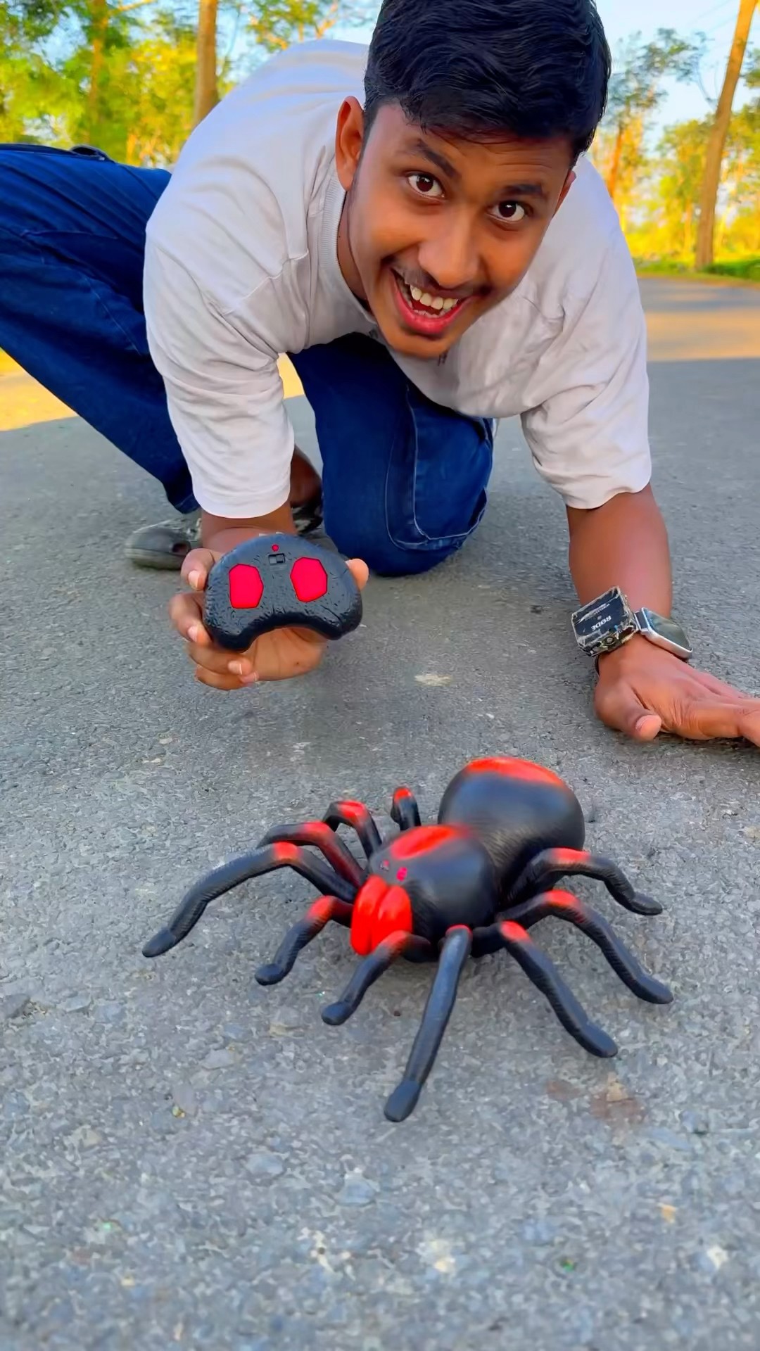 RC Snake and RC spider wala shorts