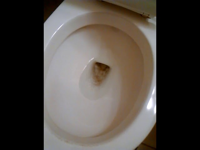 Poopy Toilet Overflowing Poopy Toilet Overflowing