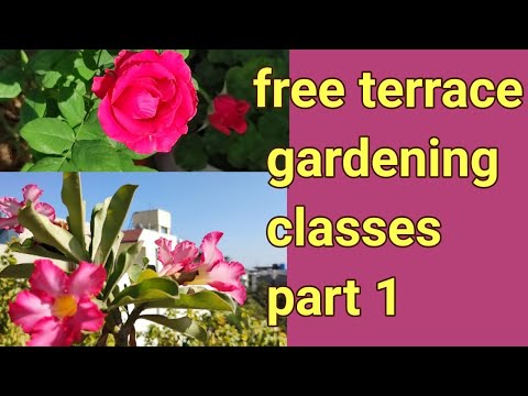 Free gardening classes