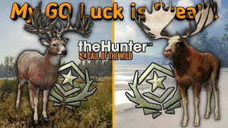 My Luck is Insanely Great!(Pun intended)My 26th and 27th Great One just hours apart!|theHunter COTW