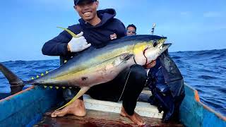 Perlawanan dasyat Aksi Nelayan naikkan 2 Ekor BIG TUNA dalam hitungan menit