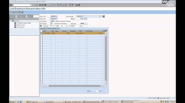 SAP Training : SAP HR/ HCM VALUATION BASIS