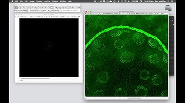 FIJI for Beginners Session 1