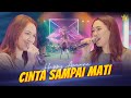 HAPPY ASMARA - CINTA SAMPAI MATI ( Official Live Music ) thumbnail