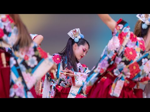 【第17回湘南よさこい祭り2022】疾風乱舞【ひらしん平塚文化芸術ホール】