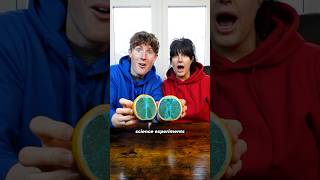 Can I Trick My Mum With Brainrot Science Experiments