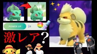 ポケモンgo 新たな解析で色違いダークポケモンやあの伝説も 驚きのリライブの強化や飴コストなど判明 熊本復興プロジェクト ワンピースコラボ Youtube ポケモンgo 新たな解析で色違いダークポケモンやあの伝説も 驚きのリライブの強化や飴コストなど判明 熊本復興プロジェクト ワンピースコラボ Youtube