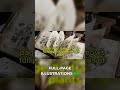 The Voynich Manuscript's Alien Plants!