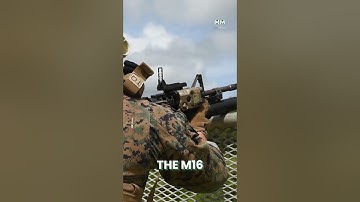 M203 Grenade Launcher: A Powerful Infantry Weapon